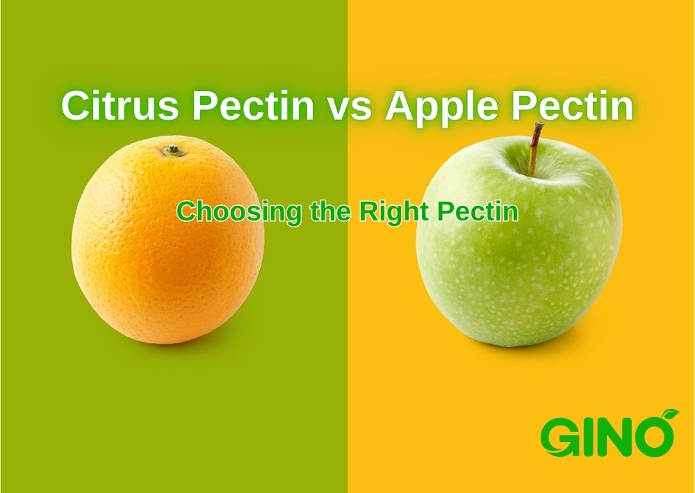 Pectin & Fiber (Apple, Citrus)