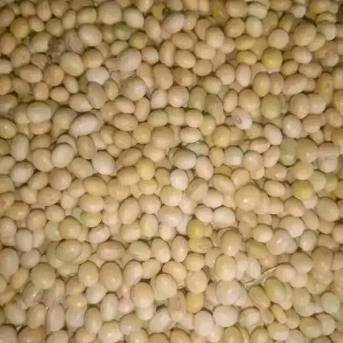 Premium Bulk Yellow Soybeans for Global Processing and Feed Manufacturing image 3