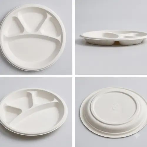 Sugarcane Bagasse Disposable Tableware for Takeaway and Foodservice image 8