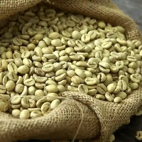 Green Coffee Beans image 2