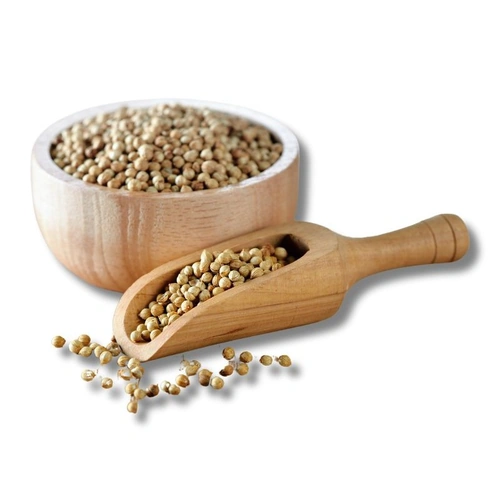Whole Coriander Seeds for Spice Blends, Grinding, and Wholesale Supply image 4