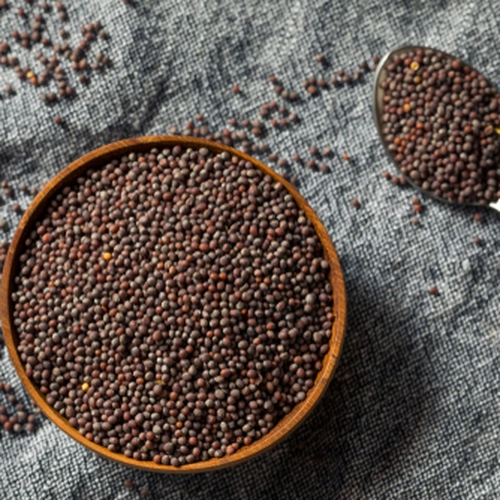 Whole Black Mustard Seeds for Spice Blends, Pickling, and Wholesale Supply image 4