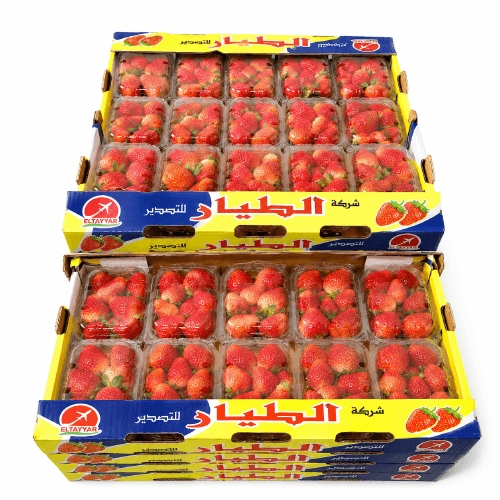 Fresh Premium Strawberries for Retail and Export Markets image 3