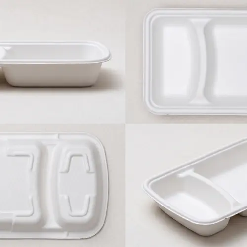 Sugarcane Bagasse Disposable Tableware for Takeaway and Foodservice image 25