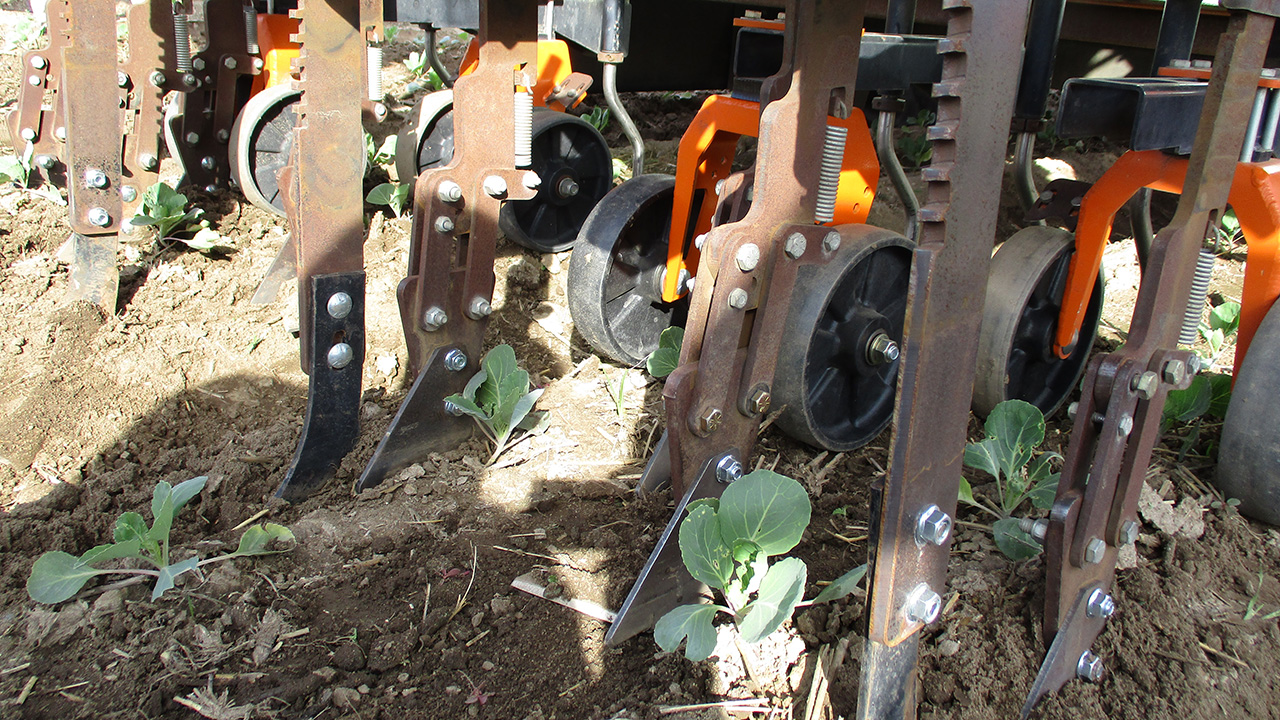 AI-Powered Weeding Robots