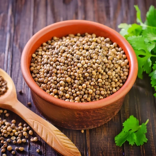 Whole Coriander Seeds for Spice Blends, Grinding, and Wholesale Supply image 3