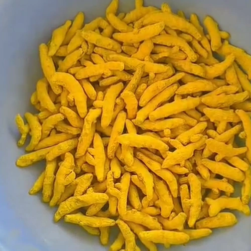 Dried Turmeric Fingers for Spice Processing, Extraction, and Wholesale Supply image 2