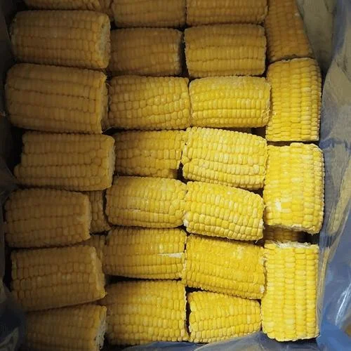Frozen Sweet Corn Cob Segments for Foodservice and Export Markets image 2