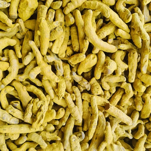 Whole Dried Turmeric Fingers for Spice Milling and Food Manufacturing