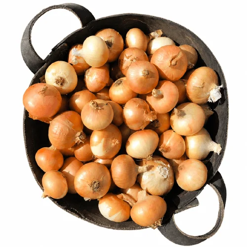 Premium Golden Onions for Wholesale and Export Distribution