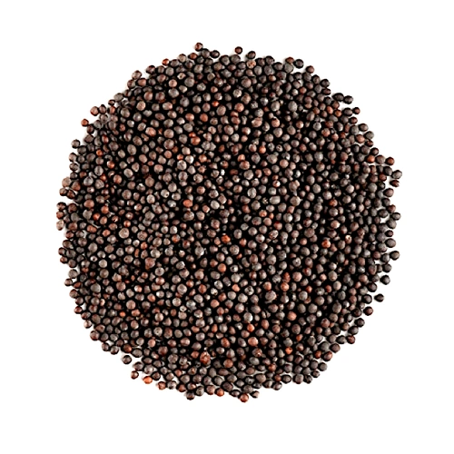 Whole Black Mustard Seeds for Spice Blends, Pickling, and Wholesale Supply image 6