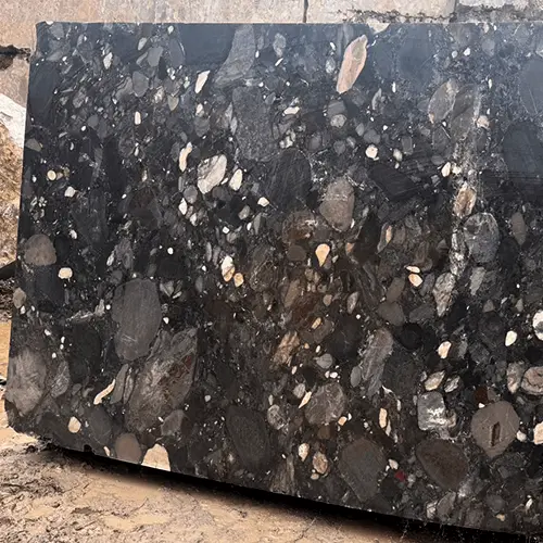 Polished Black Granite Tile with Distinctive Multicolor Mineral Flecks