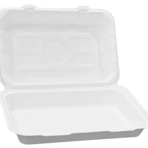 Sugarcane Bagasse Disposable Tableware for Takeaway and Foodservice image 11