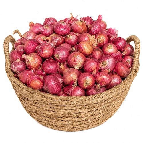 Fresh Red Shallots for Premium Culinary and Commercial Wholesale Distribution image 4