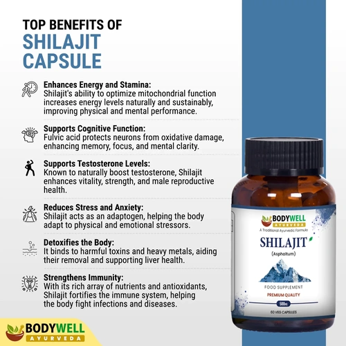 Shilajit 500mg Vegan Capsules for Ayurvedic Wellness Supplement image 2