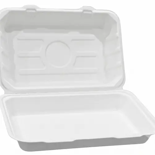 Sugarcane Bagasse Disposable Tableware for Takeaway and Foodservice image 24