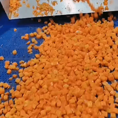 Dehydrated Diced Carrots for Food Processing and Industrial Culinary Applications image 2