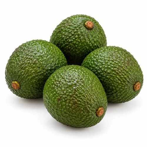 Premium Kenyan Fresh Hass Avocados for Commercial Wholesale Import