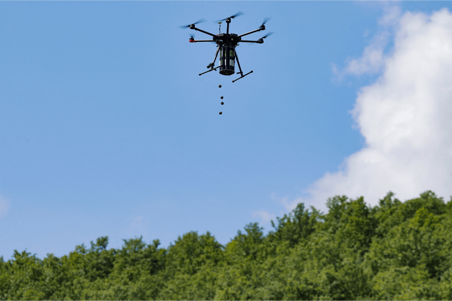 Seed Dispersal Drones