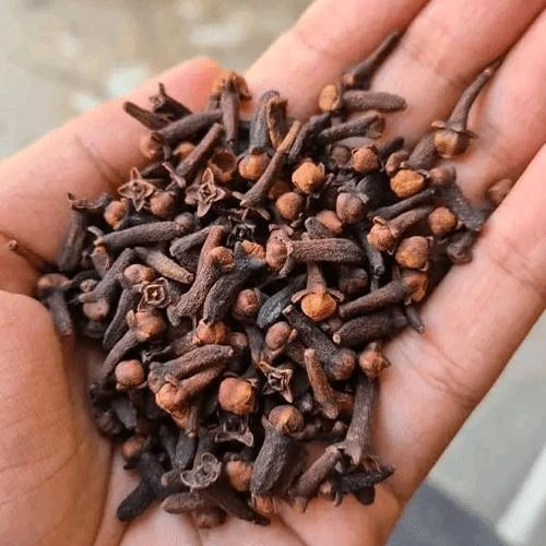 Premium Hand-Selected Whole Dried Cloves for Commercial Food and Spice Processing image 2