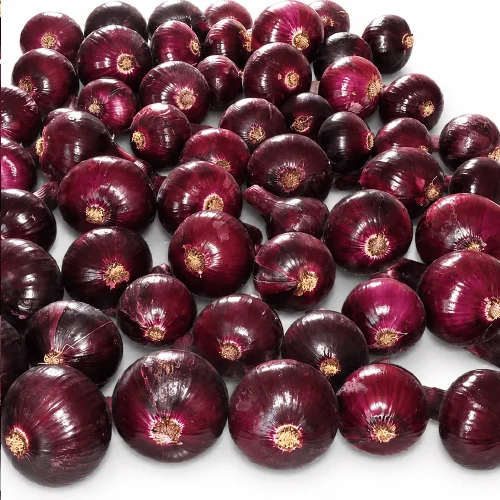 Premium Red Onions for Wholesale, Retail and Export Markets image 2