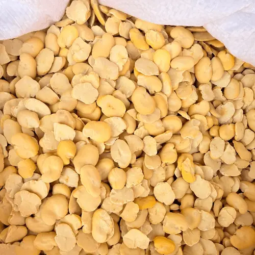Premium Export-Grade Dried Broad Beans (Fava Beans) image 4