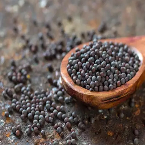 Whole Black Mustard Seeds for Spice Blends, Pickling, and Wholesale Supply image 5