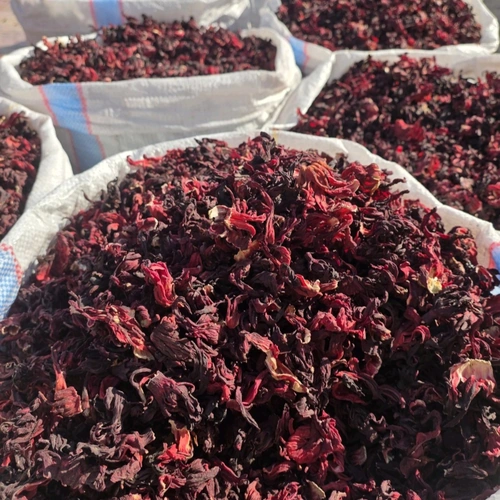 Premium Bulk Dried Hibiscus Flowers for Export and Beverage Processing