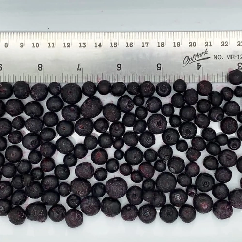 IQF Frozen Blueberries for Bakery, Beverage, Dairy, and Food Processing image 2