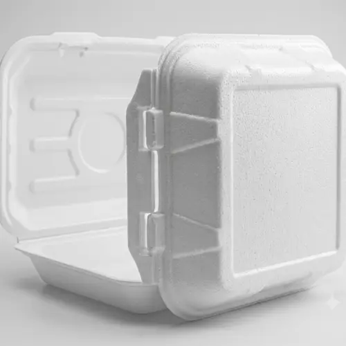 Sugarcane Bagasse Disposable Tableware for Takeaway and Foodservice image 26