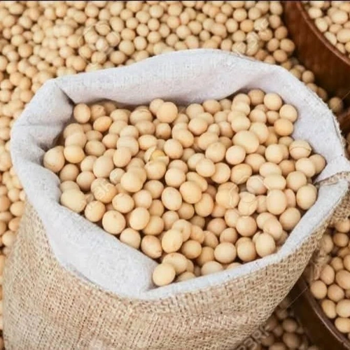 Premium Bulk Yellow Soybeans for Global Processing and Feed Manufacturing image 2