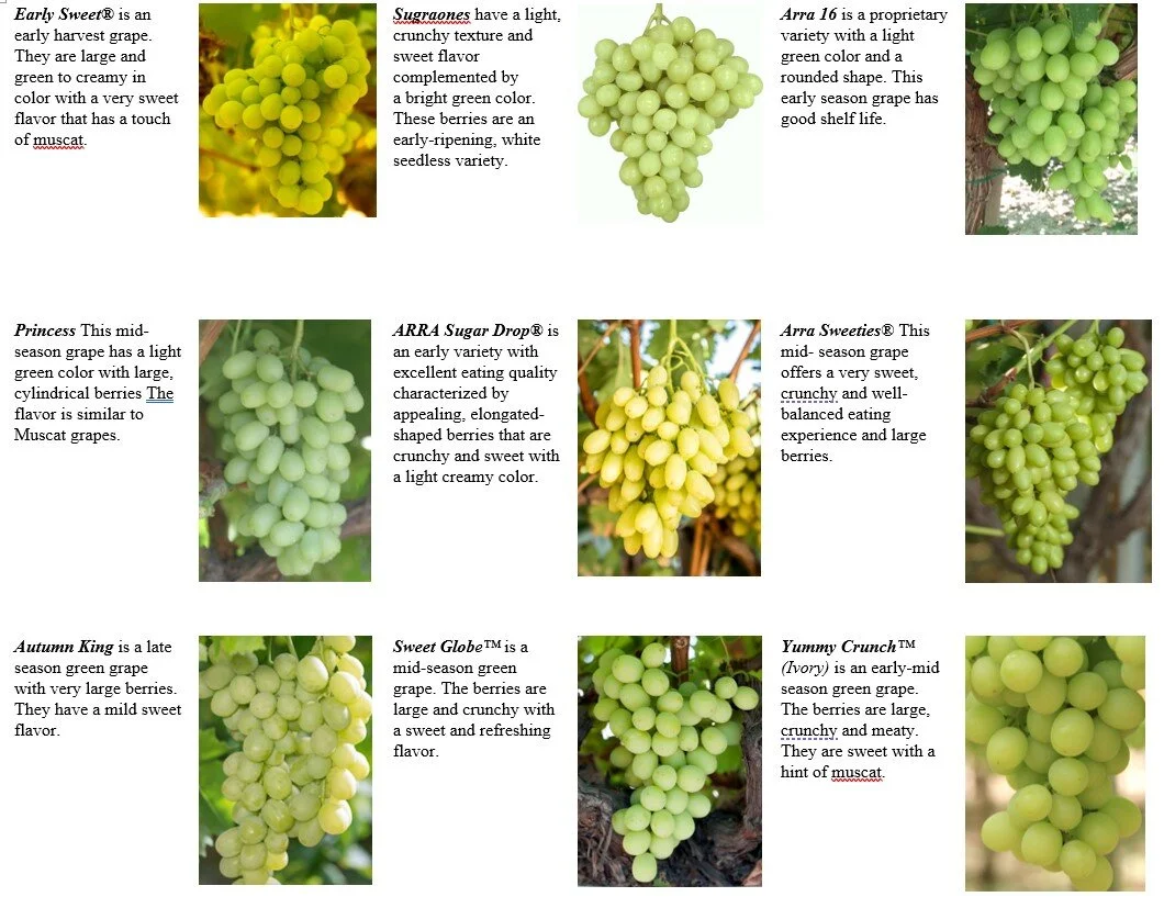 Grapes (Table Grapes, Specialty Varieties)