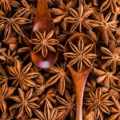 Whole Star Anise for Spice Blends, Beverages, and Wholesale Supply image 7