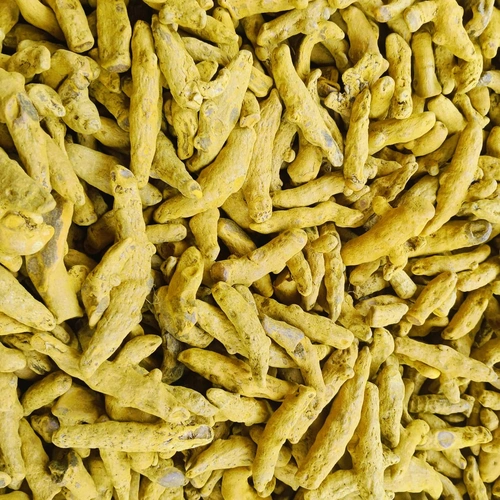 Whole Dried Turmeric Fingers for Spice Milling and Food Manufacturing image 2