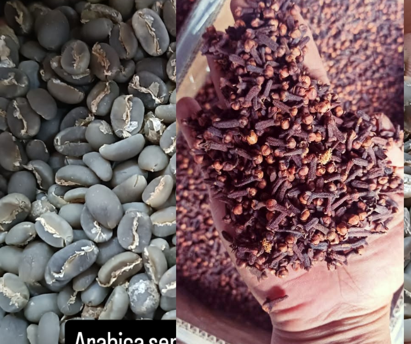 CV coffee spices