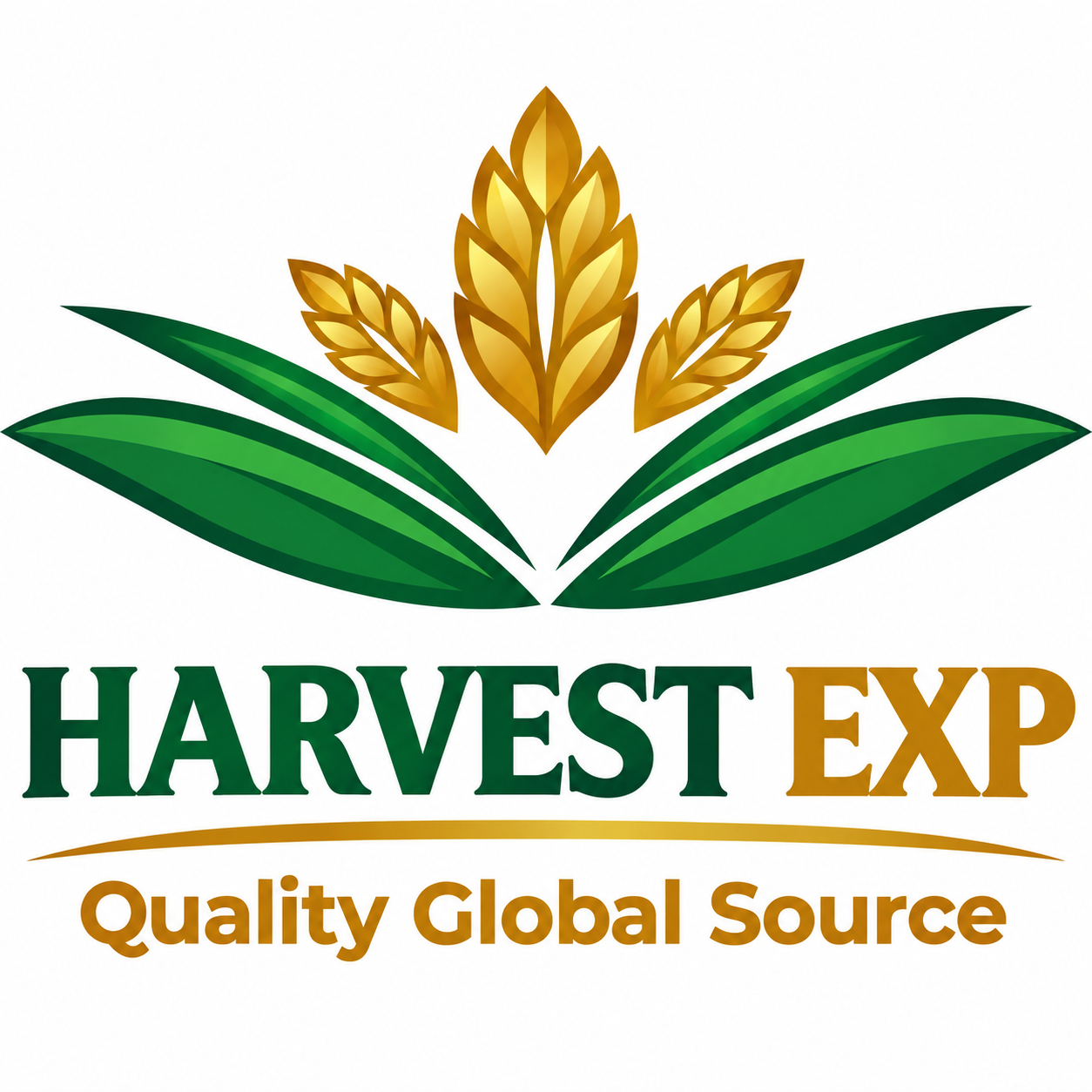 Damal Prime Solutions Ltd